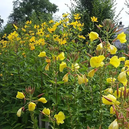 Larkside Freshford